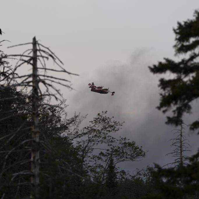 'Frightening' Halifax wildfire shows risk when hot, dry weather hits Maritimes